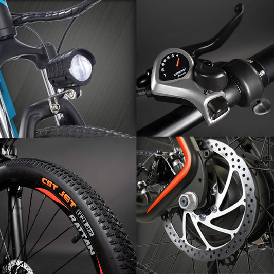 Rattan Electric Mountain Ebikes 48V 350W